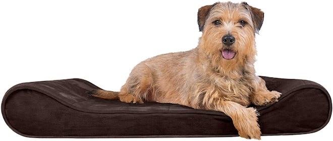 Furhaven Contour Lounger Dog Bed