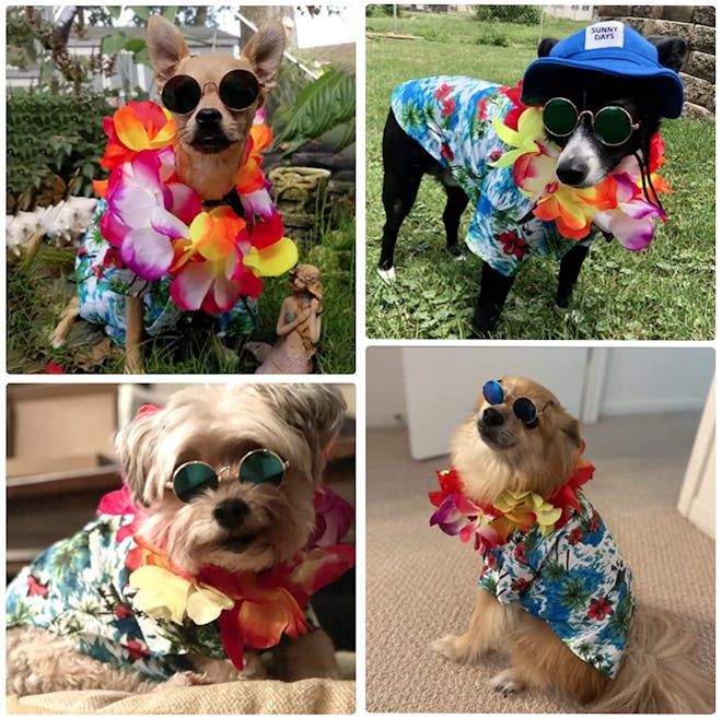Geyoga Pet Dog Hawaiian Costume (3-Pieces)