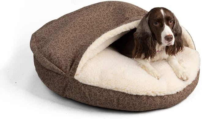 Snoozer Cozy Cave Dog Bed