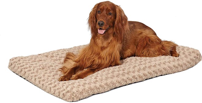 MidWest Homes for Pets Plush Dog Bed