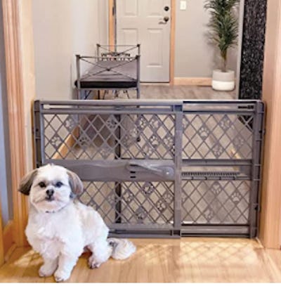 Kid proof dog bowl best sale