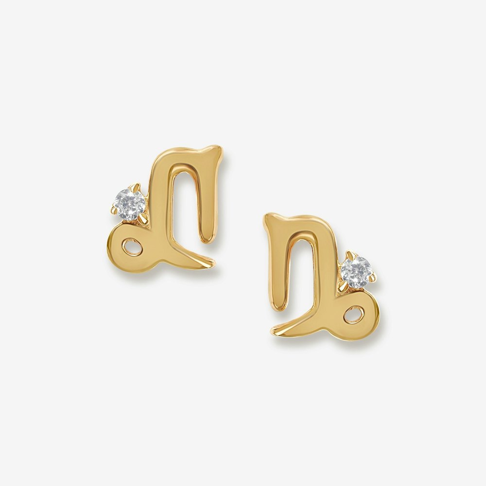 Bradley Zodiac Earrings in 14k Gold