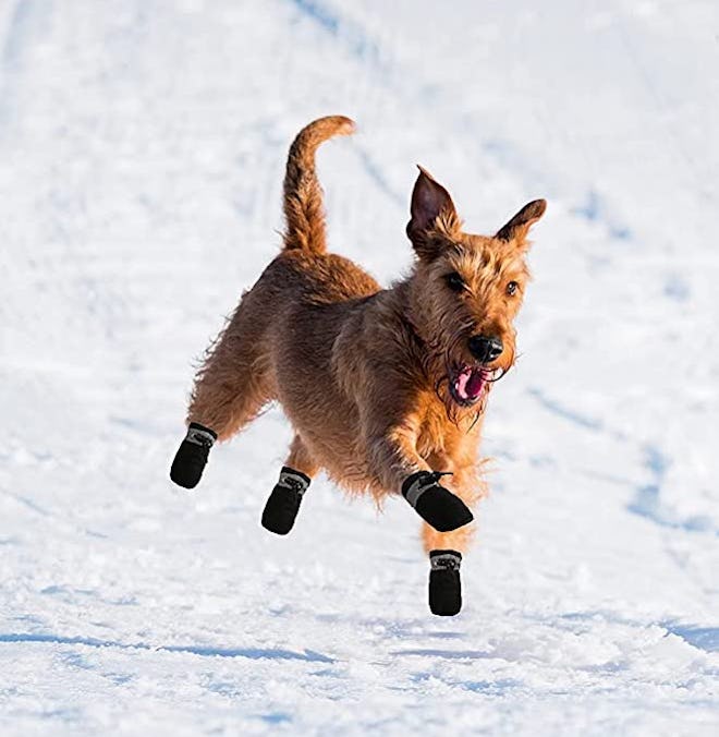 YAODHAOD Dog Shoes for Winter