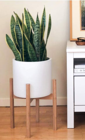 STNDRD. Bamboo Indoor Plant Stand