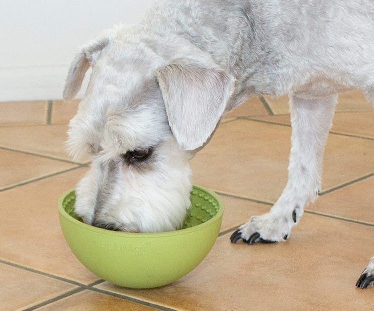 LickiMat Wobble Slow Dog Feeder