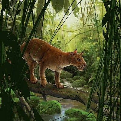 An ancient cat-like creature standing on a log over a river