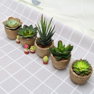 Coitak Artificial Potted Succulents (5-Pack)