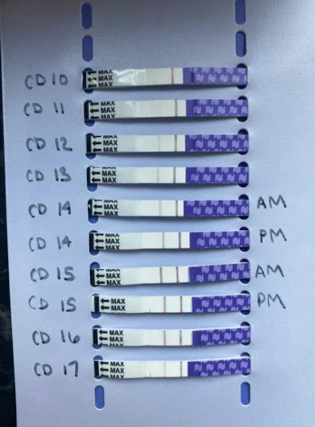 Several ovulation test strips to track ovulation