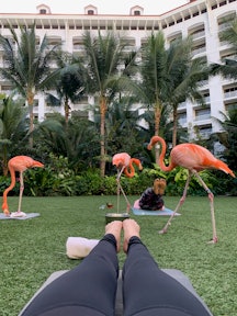 I tried "flamingo yoga" in the Bahamas and it was an... experience.