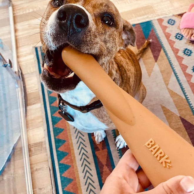 BarkBox Peanut Butter Mighty Bone