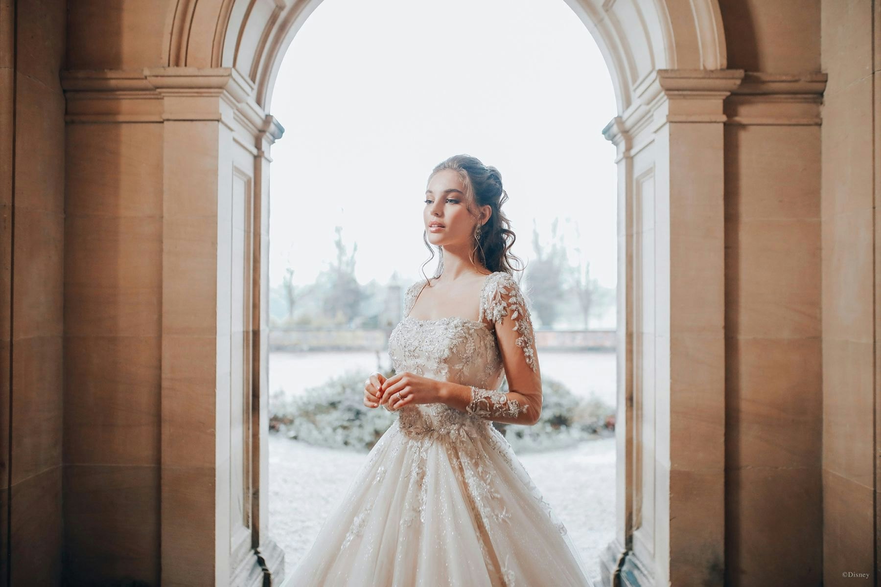 Beauty and the Beast Bridesmaid Dresses