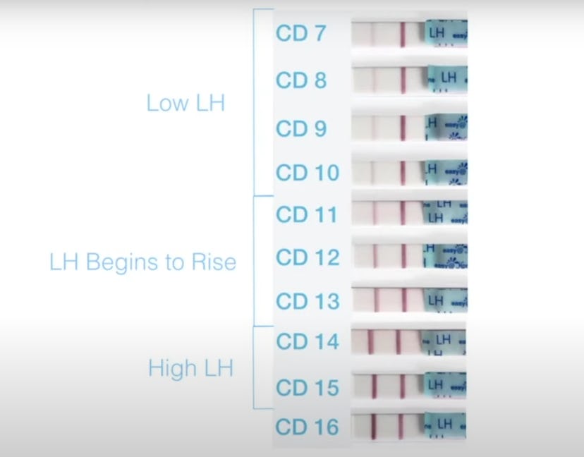 Image of several ovulation test strips 
