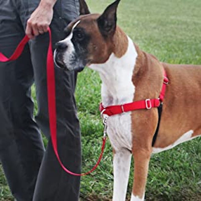 PetSafe Front-Clip Harness