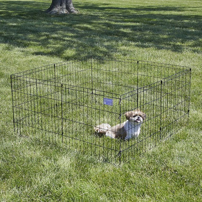 MidWest Foldable Dog Exercise Pen