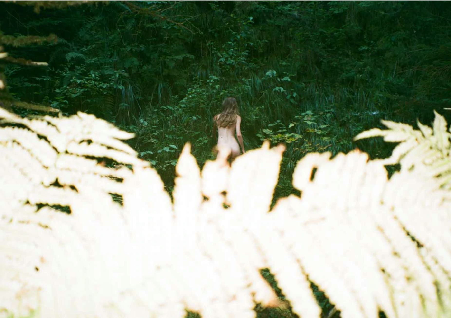 Where to Buy Photography Prints to Support Ukraine