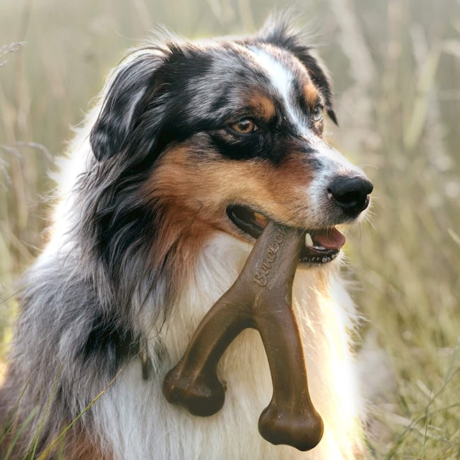 Benebone Wishbone Chew Toy