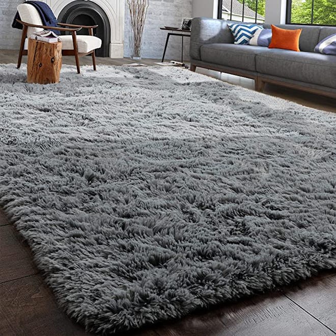 PAGISOFE Fluffy Shaggy Area Rug