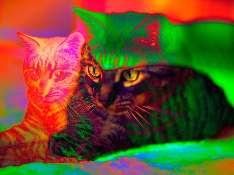Researchers found that optical hallucinations may not be linked to areas of the brain typically asso...