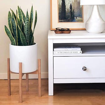 STNDRD. Bamboo Indoor Plant Stand (2-Pack)