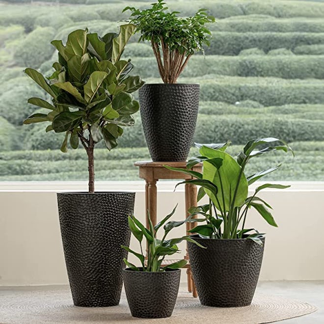 La Jolie Muse Flower Pots