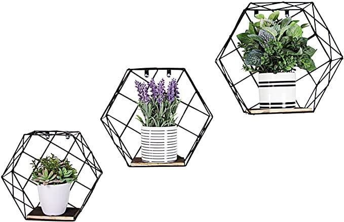 Admired By Nature Geometric Wire Shelves