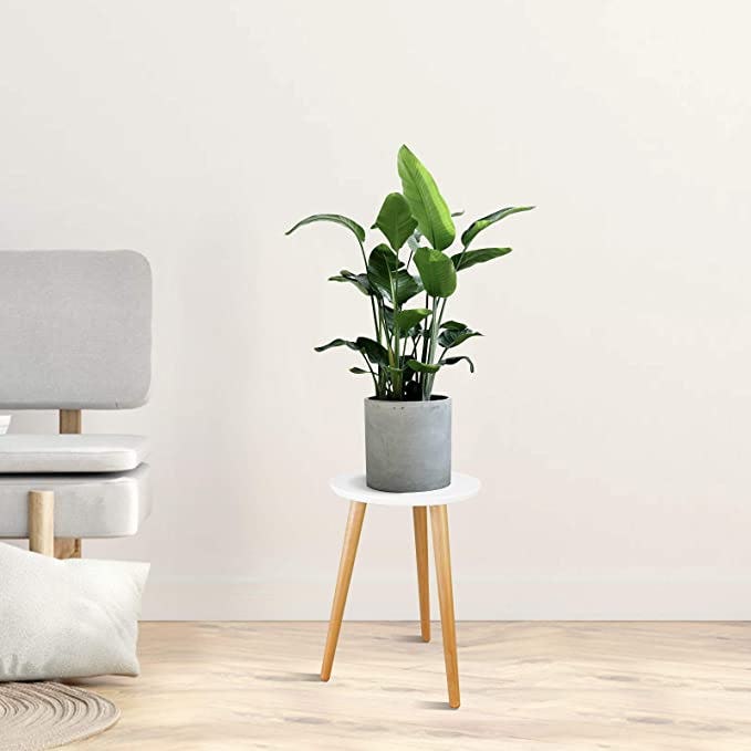 Uneedem Indoor Plant Stand