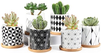 ZOUTOG Ceramic Mini Succulent Planter Pots