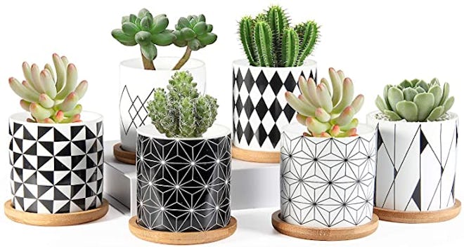 ZOUTOG Ceramic Mini Succulent Planter Pots