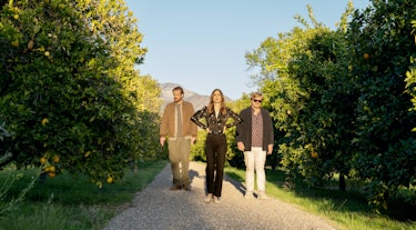 Jason Segel, Lily Collins, and Jesse Plemons standing in an orange grove in Windfall