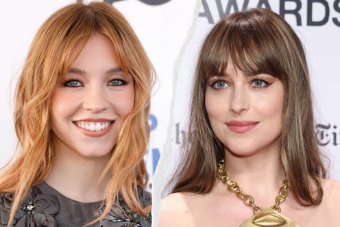 Sydney Sweeney and Dakota Johnson are among the star-studded 'Madame Web' Cast. Photos via Getty Ima...