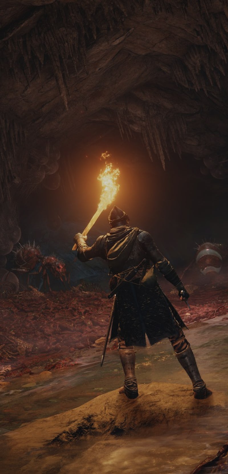 A screenshot from Elden Ring