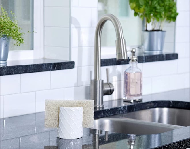 Home Acre Designs Sponge Holder for Kitchen Sink