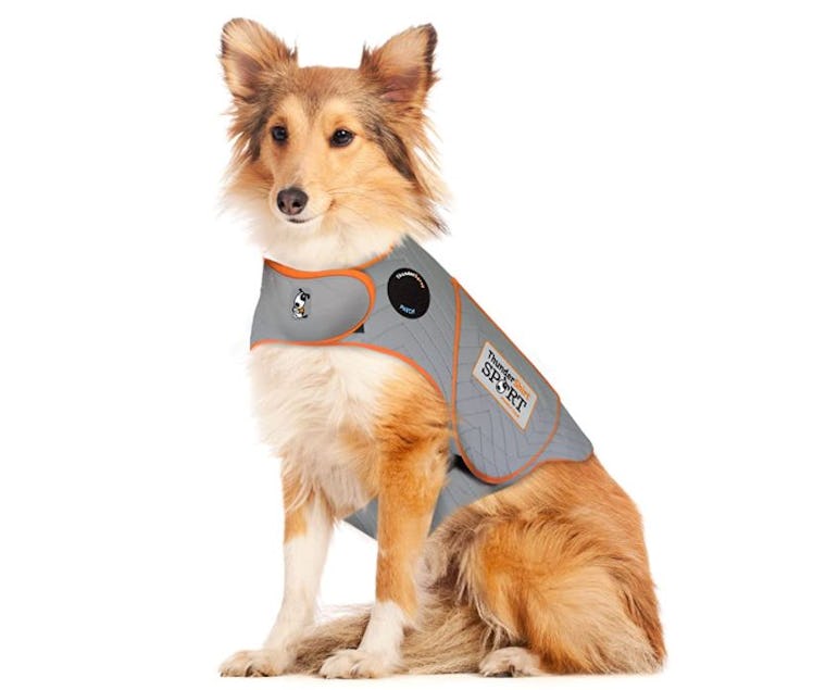 ThunderShirt Sport Dog Anxiety Jacket