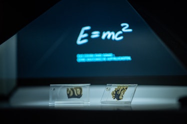 Exhibition showing parts of Albert Einstein's brain