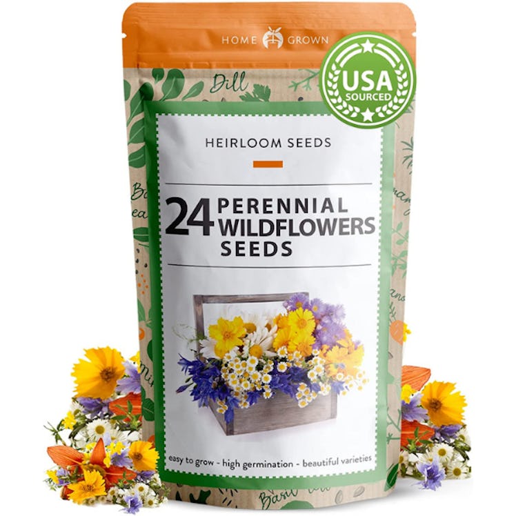 HOME GROWN Wildflower Seeds (90,000+ Seeds)