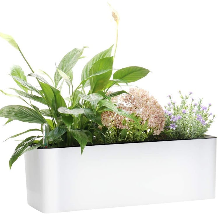 GardenBasix Self-Watering Planter