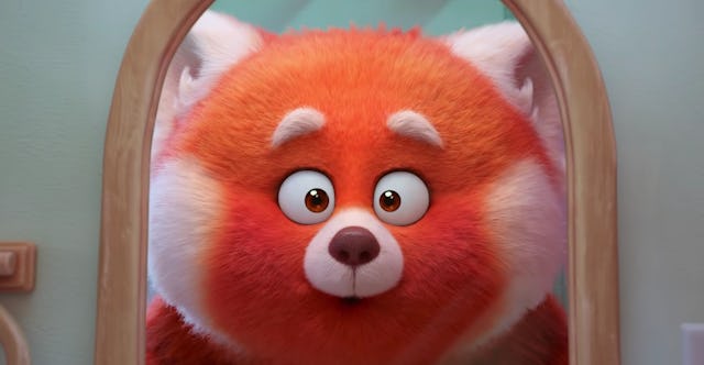 Close-up picture of a red panda face in the mirror from the new Disney Pixar movie called Turning Re...