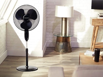 Honeywell Double Blade Pedestal Fan