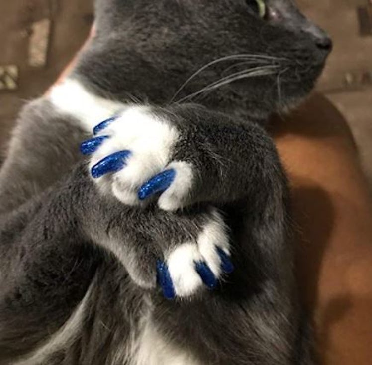 YMCCOOL Cat Nail Caps (100 Pieces)