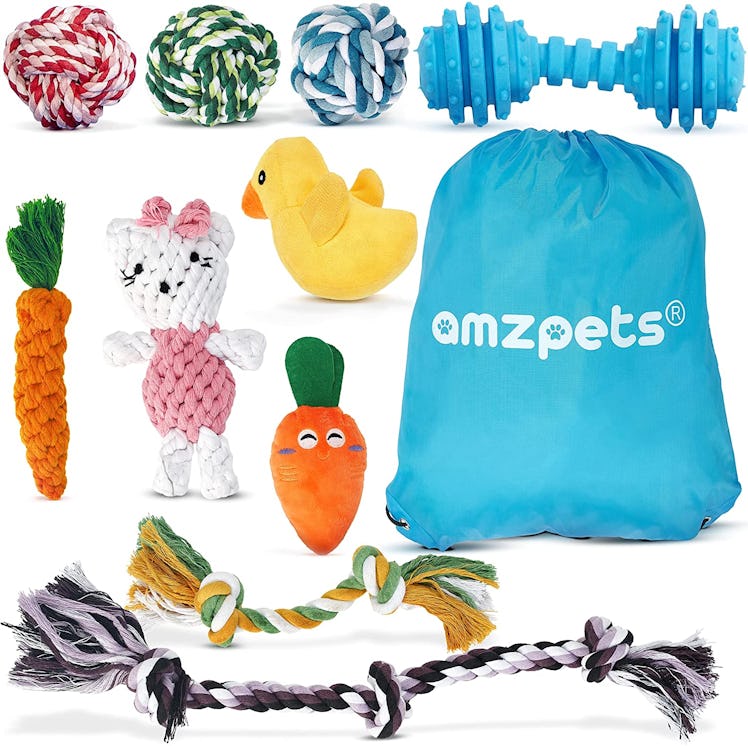 AMZpets Dog Toys for Small Dogs and Puppies (10-Pack)