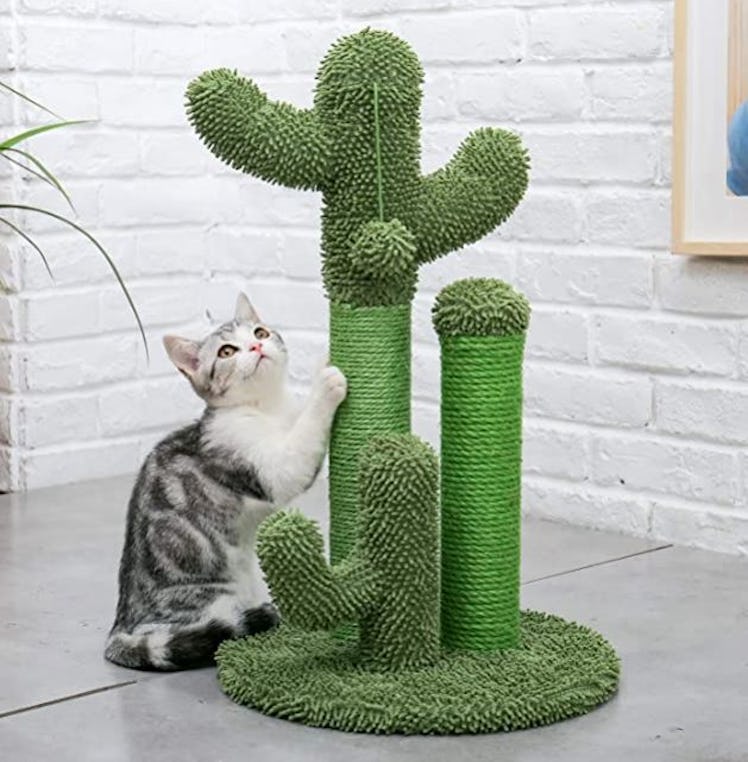 PAWZ Road Cat Scratching Post Cactus