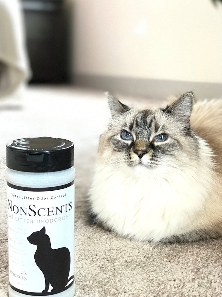 NonScents Cat Litter Deodorizer