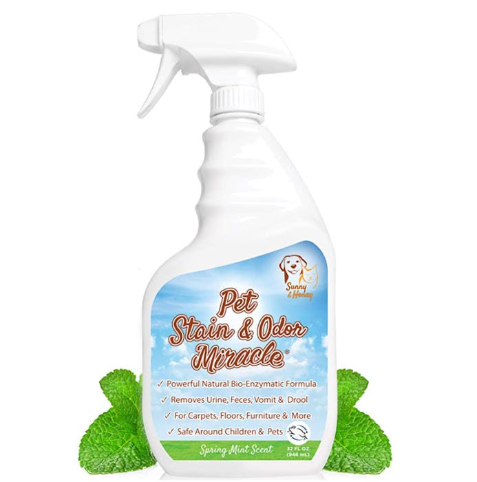 Sunny & Honey Pet Stain & Odor Miracle