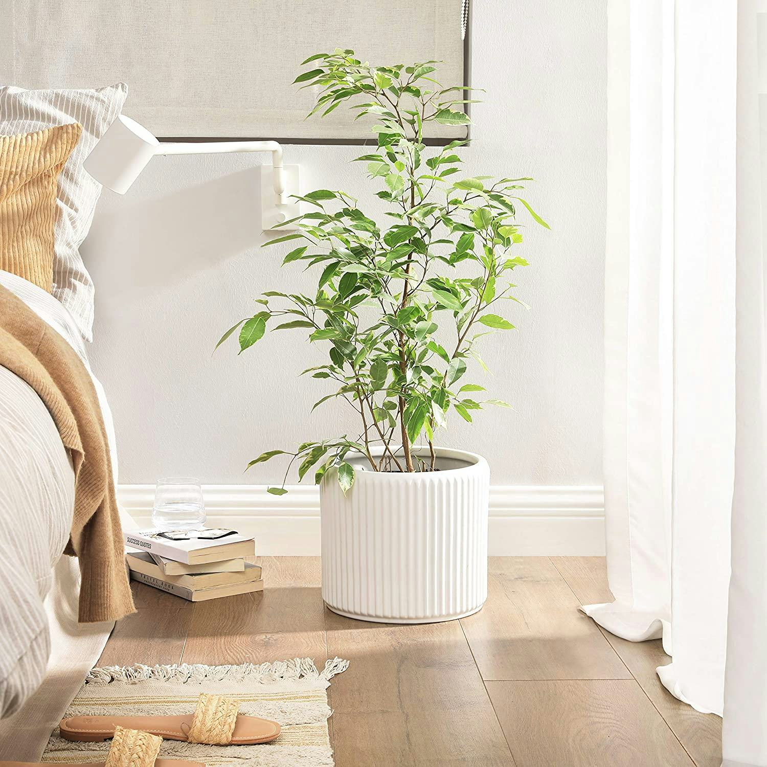 SONGMICS Ceramic Flower Pot