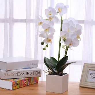 GXLMII Artificial Orchid with Vase 