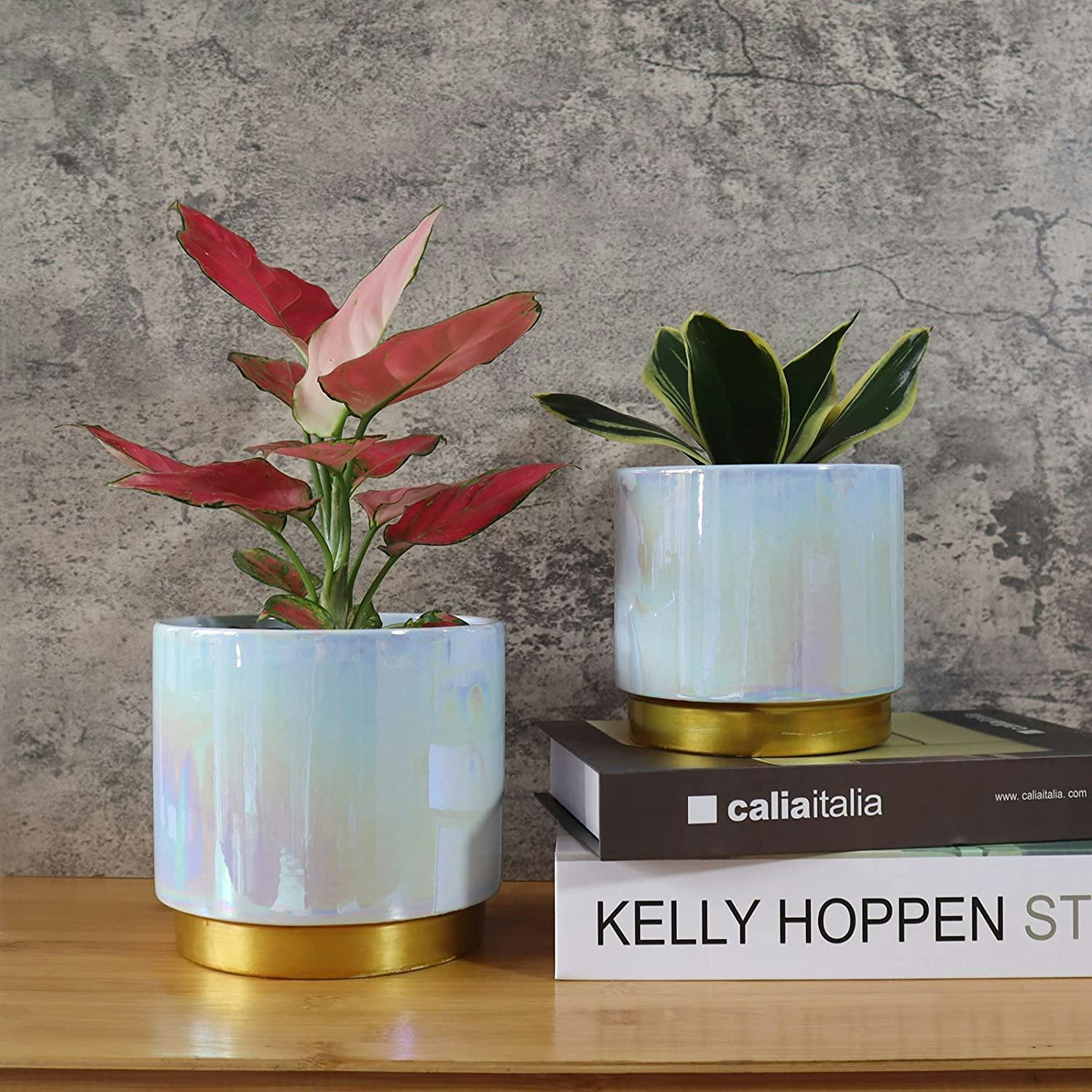 YFFSRJDJ Ceramic Flower Plants Pots (Set of 2)