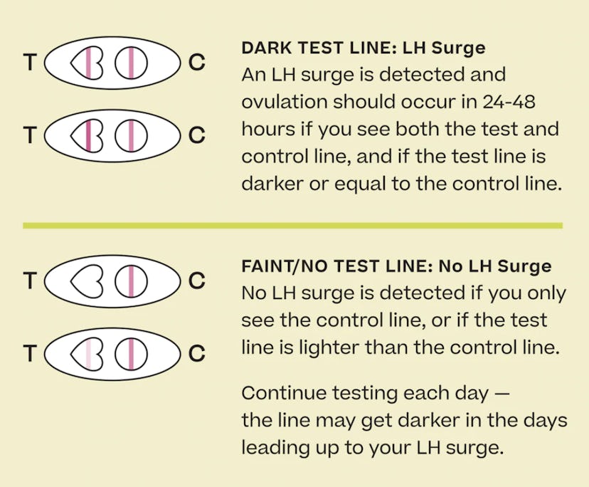 Ovulation test photos of negative and positive surge
