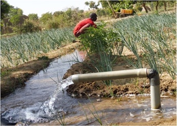 water flows out of a pipe with a farmer crouching nearby