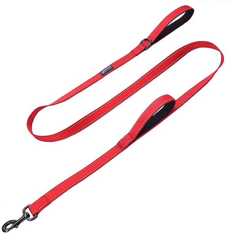 Max and Neo Double Handle Reflective Dog Leash 