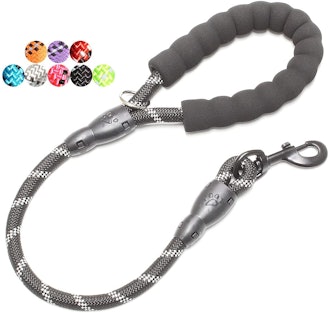 BAAPET Strong Dog Leash with Padded Handle